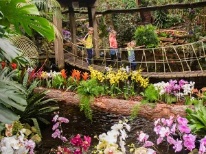 Prijsvraag: Win twee tickets voor Junglepark Orchideeën Hoeve