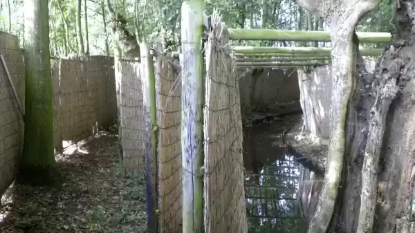 eendenkooi | Foto ge&uuml;pload door gebruiker Staatsbosbeheer.