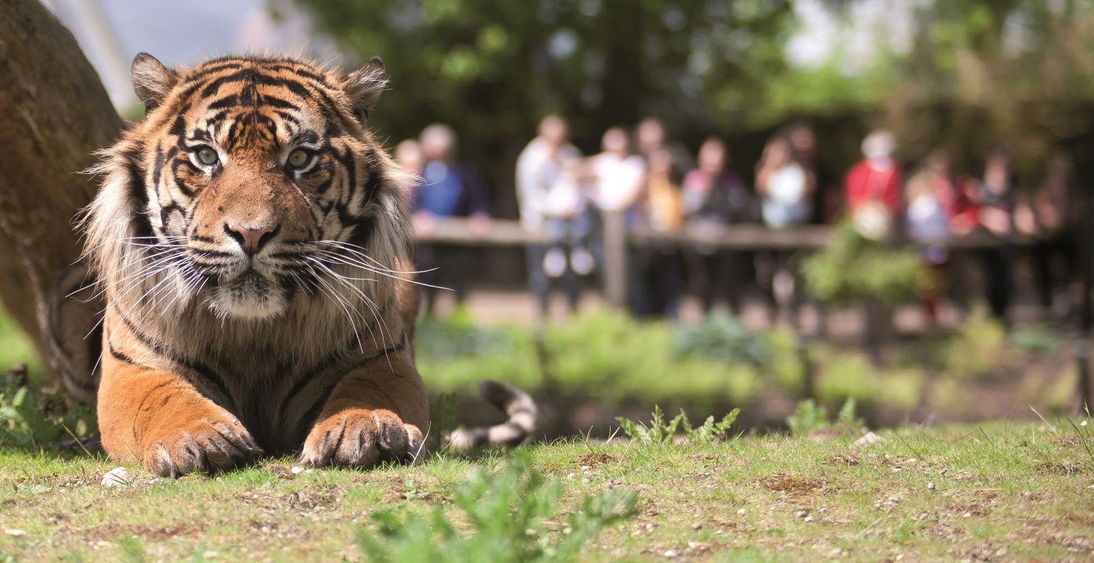 Ga op safari in Burgers' Zoo. Foto: Burgers' Zoo © R.W. Hermanus