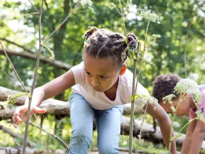 OERRR Speelnatuur Kardinge Lekker spelen in de natuur. Foto: Natuurmonumenten © Janine Bekkers