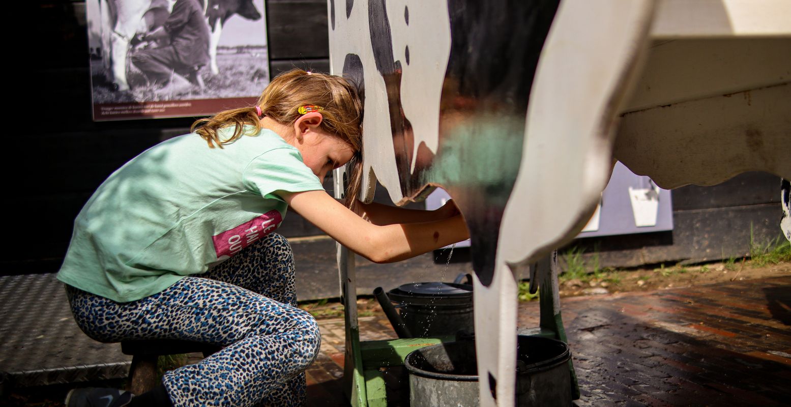 Koeien melken op het Kindererf in het Nederlands Openluchtmuseum. Foto: Nederlands Openluchtmuseum