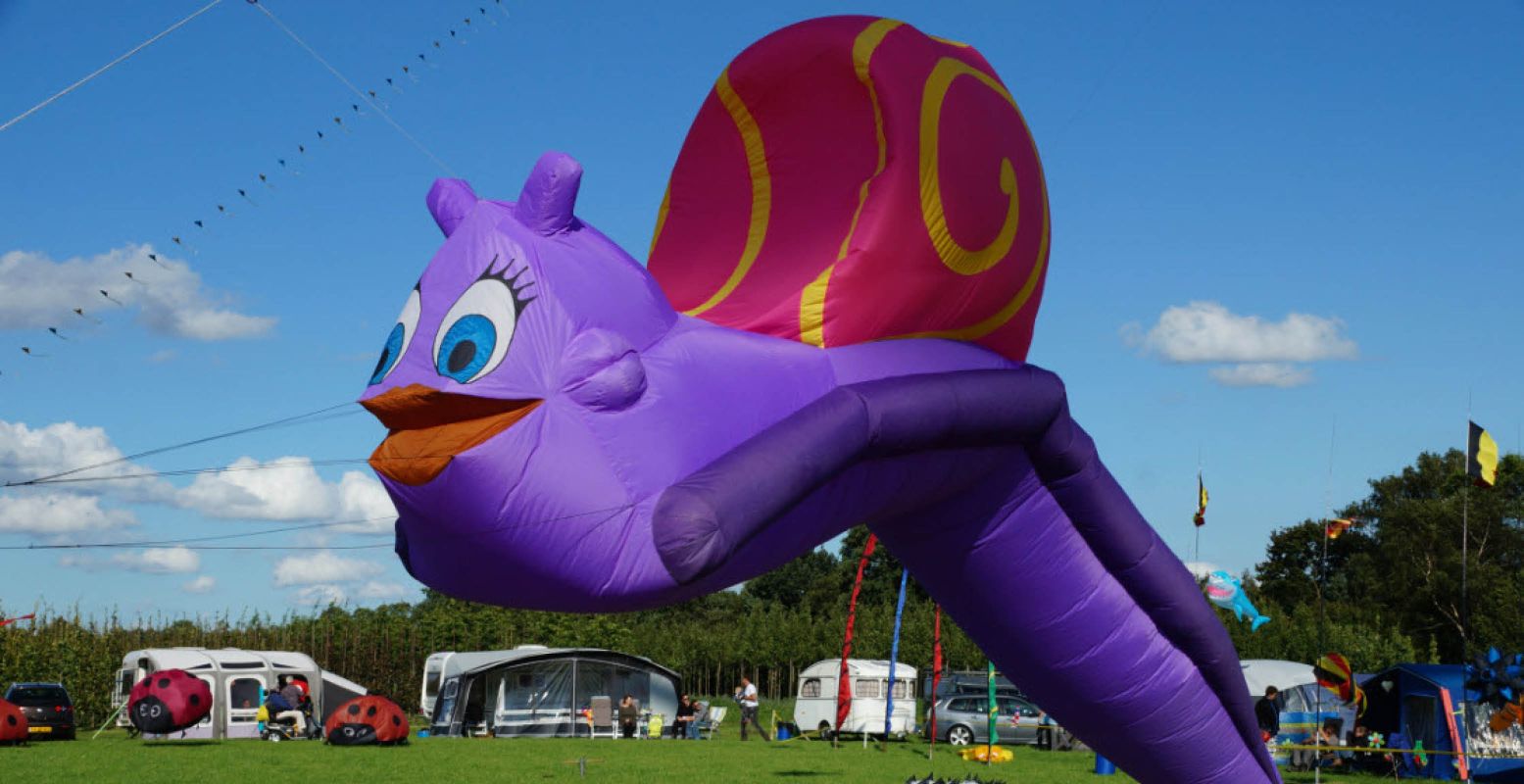 Een slak als vlieger, bijzonder! Foto: Stichting Rijsbergse Vliegerdagen