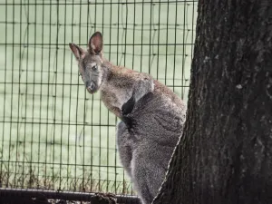 Foto: Speelboerderij Dondertman