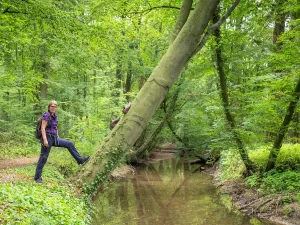 Wandelboswachter Ellen op de Gelderlandroute. Foto: Bob Luijks