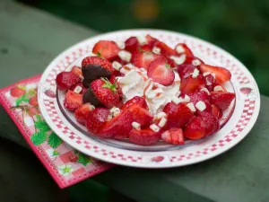 Het Aardbeienland Foto: Het Aardbeienland