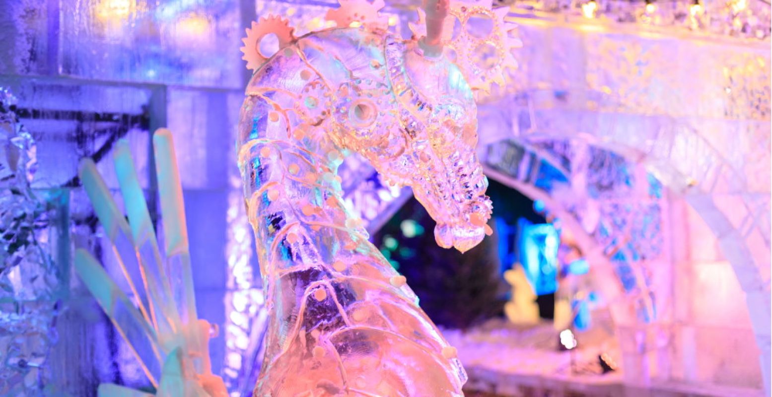 De sprookjeachtige wereld van de IJssculpturen Expositie Frozen Magic. Foto: Casper van Dort