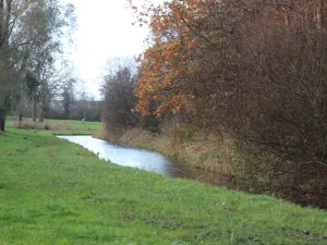 Maak kennis met de 'natte' natuur van Purmerend. Foto: DagjeWeg.NL