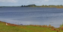 Wind, water en verse vis bij het Lauwersmeer