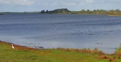 Wind, water en verse vis bij het Lauwersmeer