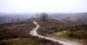 Met de gids op stap in December Met de gids op stap in DecemberFoto geüpload door gebruiker Natuurmonumenten.