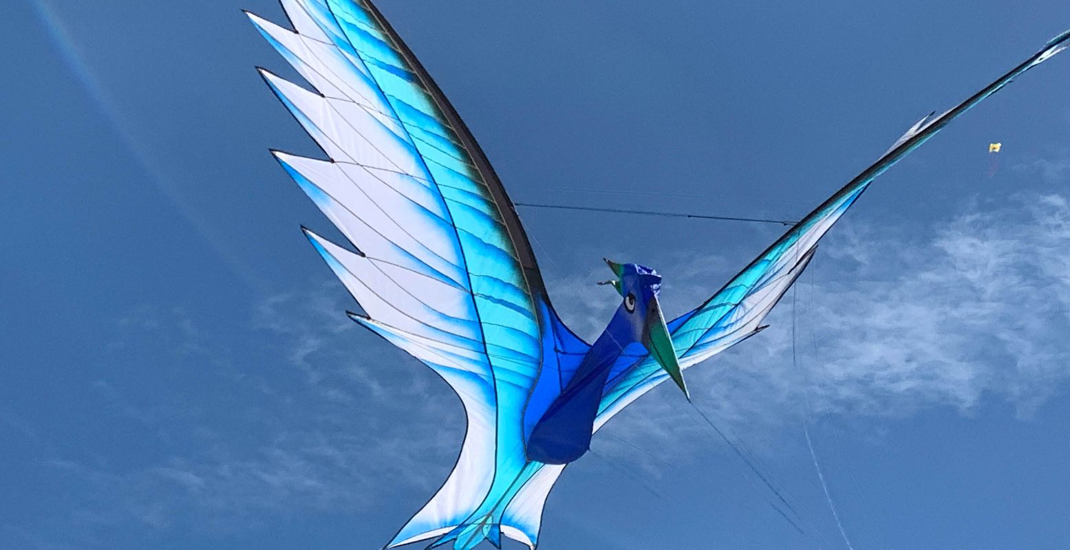 Geniet van een vrolijk kleurspektakel aan vliegers in de lucht. Foto: Stichting Rijsbergse Vliegerdagen