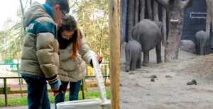 Een _hoop_ doen in DierenPark Amersfoort