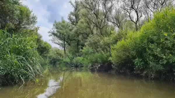 varen-door-de-biesbosch | Foto geüpload door gebruiker Staatsbosbeheer. varen-door-de-biesbosch | Foto geüpload door gebruiker Staatsbosbeheer.