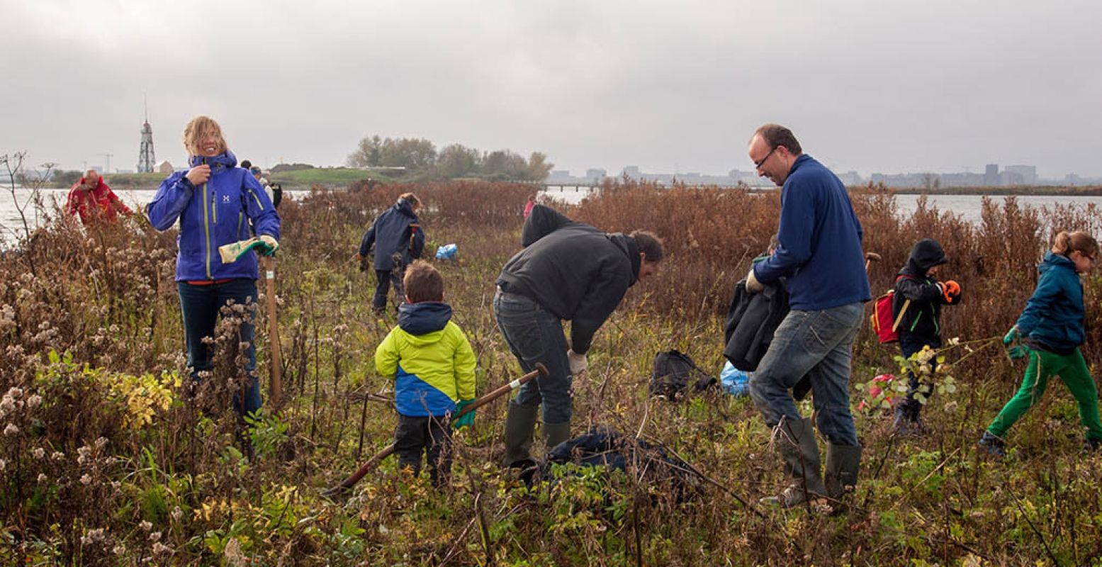  Natuurwerkdag in Kinseldam . Foto: Gerard Hund.