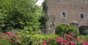 Open Tuinendag 2018: kijk achter de poorten van Utrechtse tuinen