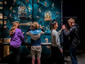 Op zoek naar de blinde vlek. Foto: Universiteitsmuseum Utrecht.