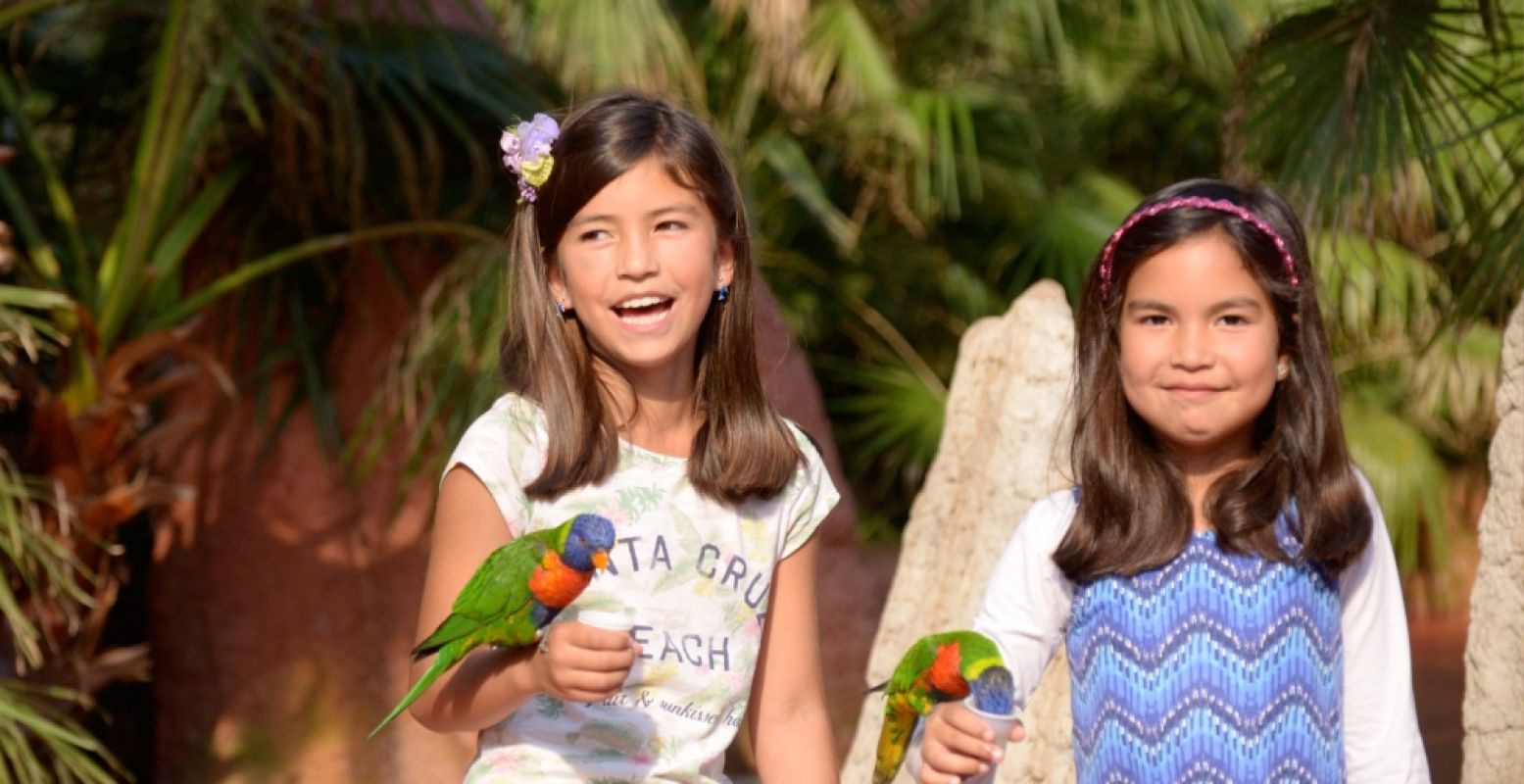 Geniet van tropische zomerdagen deze zomervakantie! Foto: Vogelpark Avifauna.