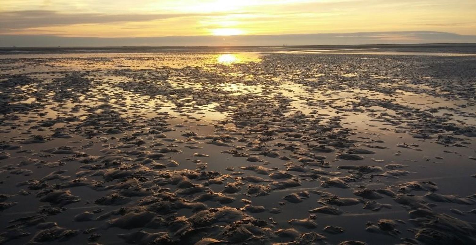 Fietsen met zicht op de Waddenzee. Foto: Mathilde van Ravensberg