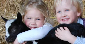Het ultieme lentegevoel: lieve lammetjes knuffelen! Een leuk uitje voor kinderen! Foto: De Boerinn.