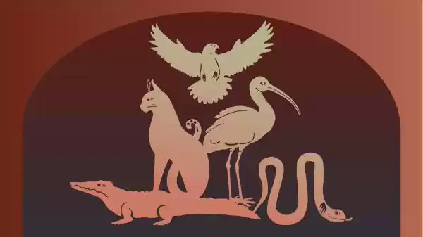 Mummie Mysteries Foto: Natuurmuseum Fryslân