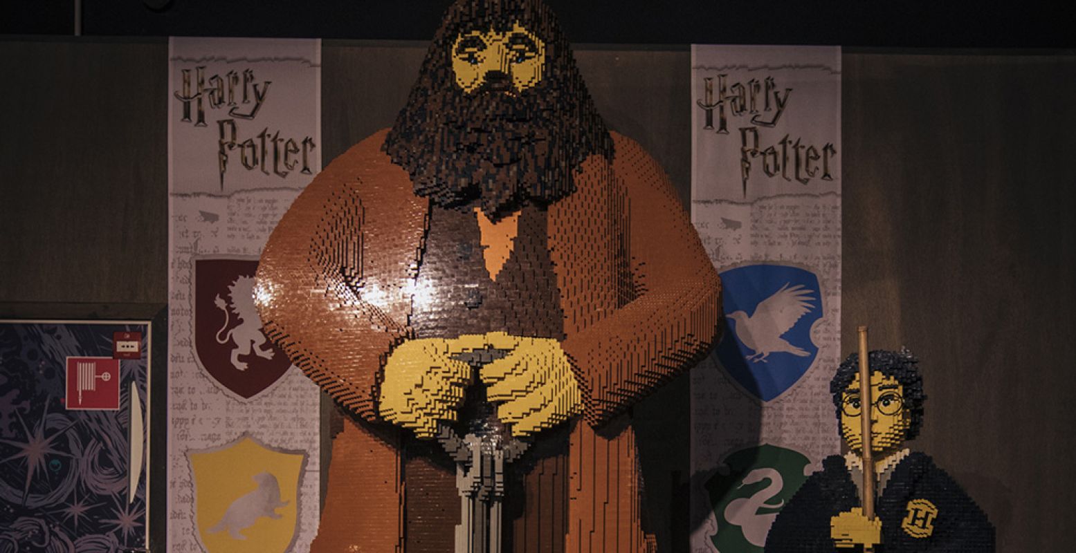 Zelfs Hagrid en Harry himself zijn in de winkel aanwezig! Foto: Pim Geerts.