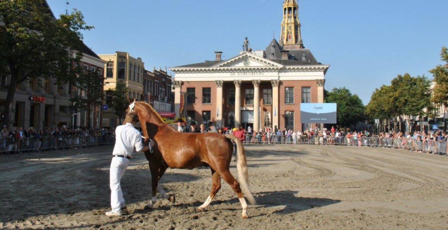 De traditionele paardenkeuring op de Ossenmarkt.