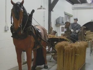 Het verhaal van suiker en vlas in Brabant