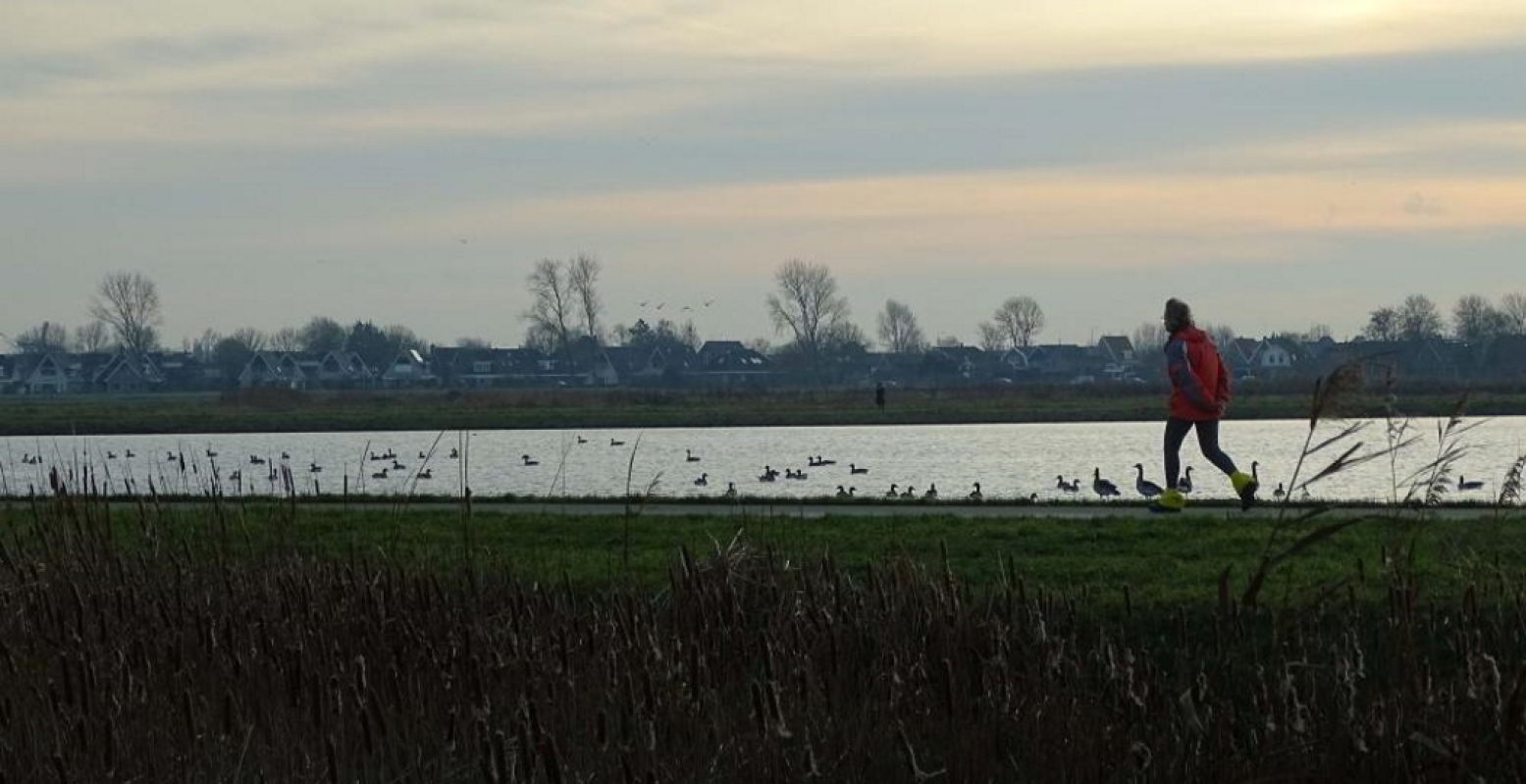 Vergezichten over de polder en het IJsselmeer, mooie dorpjes en stadjes: dat is Streekpad Westfriese Omringdijk. Foto: Fiets en Wandelbeurs