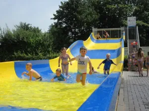 Alle uitstapjes in Hulst