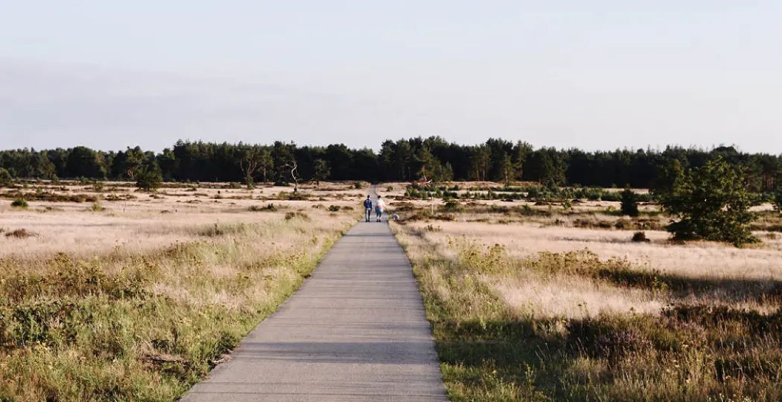 Overal in Nederland kun je prachtige wandelingen maken. Foto: Mathilde van Ravensberg