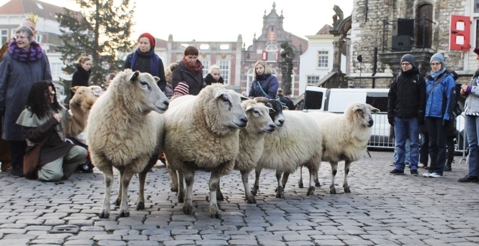 Ook de levende kerststal is weer van de partij, te vinden achter de Waag. Foto: Astrid den Haan