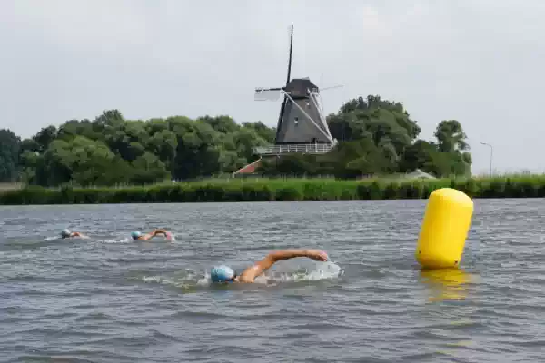 47e Open Water Wedstrijd Anna Paulowna Foto: Zwem- en Waterpolovereniging Oude Veer