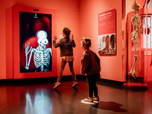 Discovery Museum Spannend en interactief. Foto: Discovery Museum