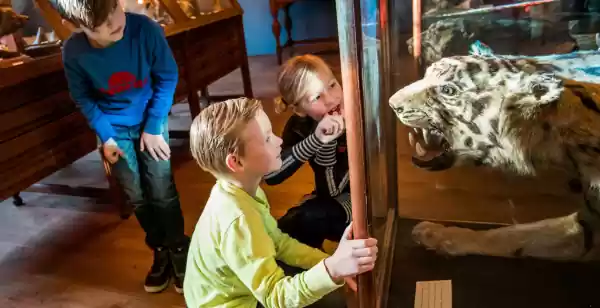Op excursie met de klas: spelend leren doe je hier het beste Leren gaat vanzelf als je plezier hebt. Foto: Natuurmuseum Fryslân ©