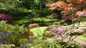 Wandelen in Japan