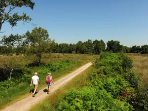 Peelwandeling vanuit Helenaveen