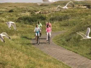 Op Terschelling fietsen door de duinen.