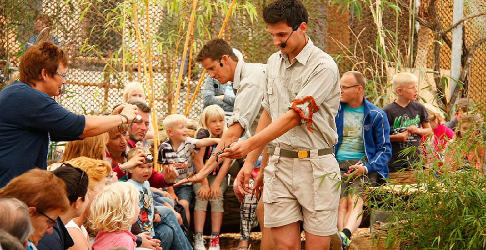 Tijdens de Meet & Greet met Junglegeheimen zie je de gekste beesten ineens van héél dichtbij. Foto: De Orchideeën Hoeve.