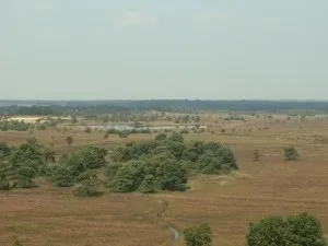 Uitzicht natuur Kalmthoutseheide - Foto: Grenspark Archief