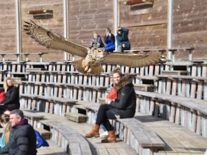 Dierenpark Hoenderdaell