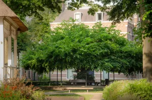 Oisterwijk op Stoom 2024