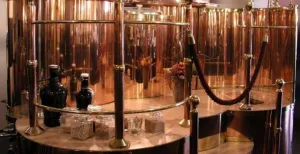 Weekendje weg in Zutphen: wat is er te doen? Proef van Zutphens bier! Foto: Hanze Stadsbrouwerij