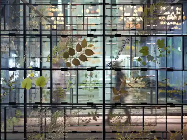 Je treft in de collectie ook dit bijzondere herbarium aan. Foto: © Ruhr Museum / Michael Rasche