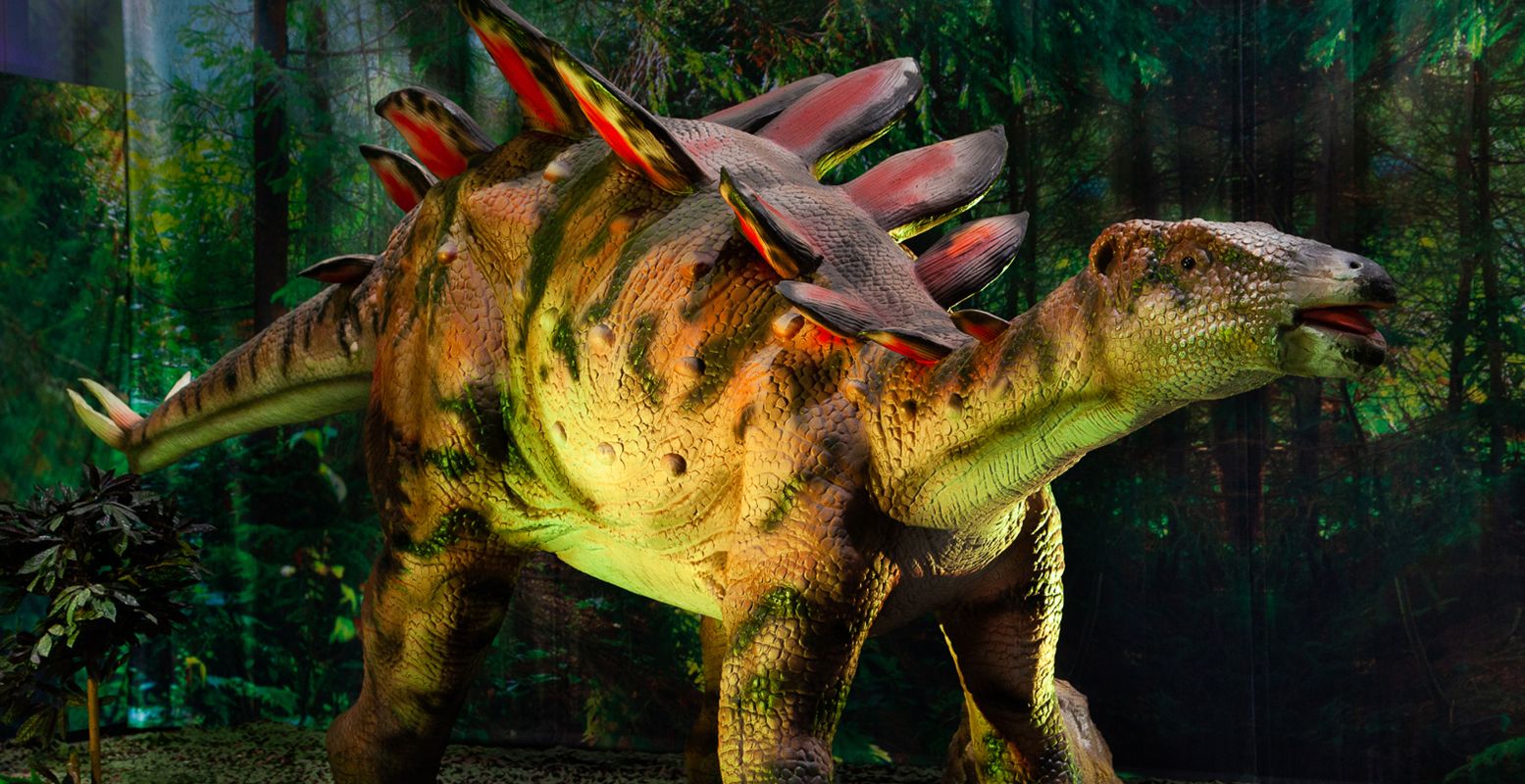 Spot levensechte dino's en leer alles over deze mythische dieren. Foto: World of Dinos