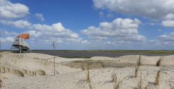 Verken de nieuwe natuur op de Marker Wadden