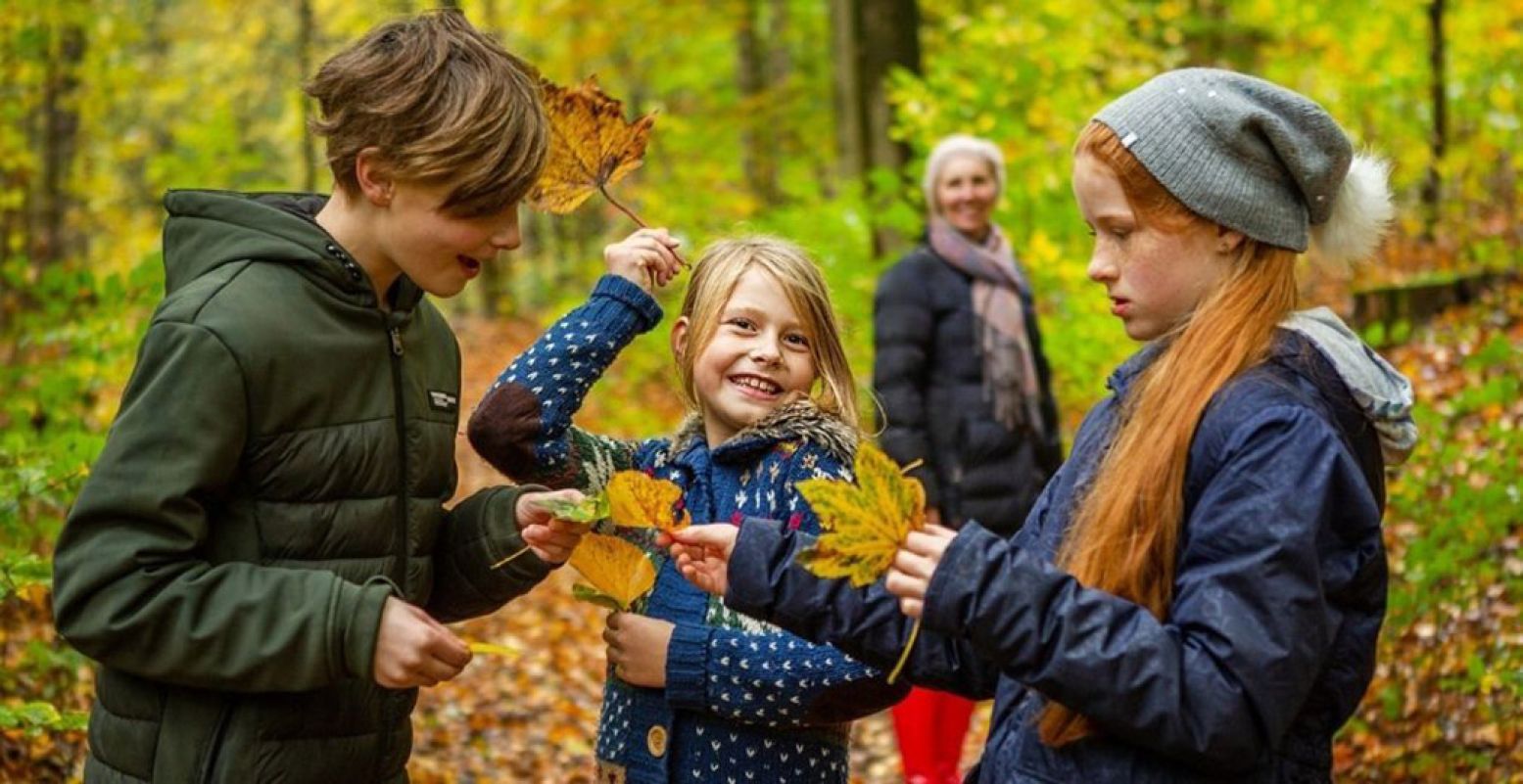 Ontdek hoe mooi de natuur is in Nederland tijdens de Week van het Landschap en doe mee met de leuke activiteiten. Lekker buiten bezig zijn voor iedereen. Foto: Week van het Landschap