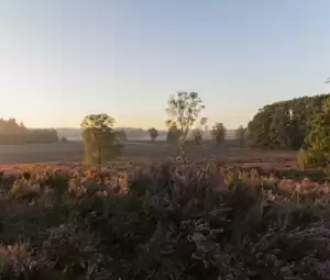 Cultuurhistorische wandeling Foto geüpload door gebruiker Geldersch Landschap en Kasteelen
