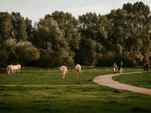 Wandel naast de koeien. Foto: Bureau Duizenddingen i.o.v. Breda Marketing