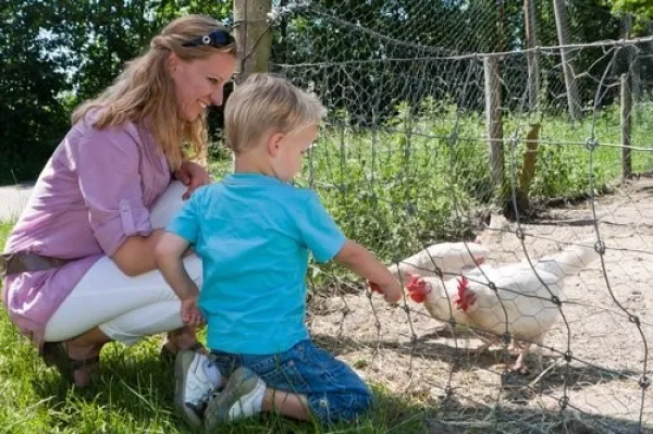 Vier de Dag van de Aarde