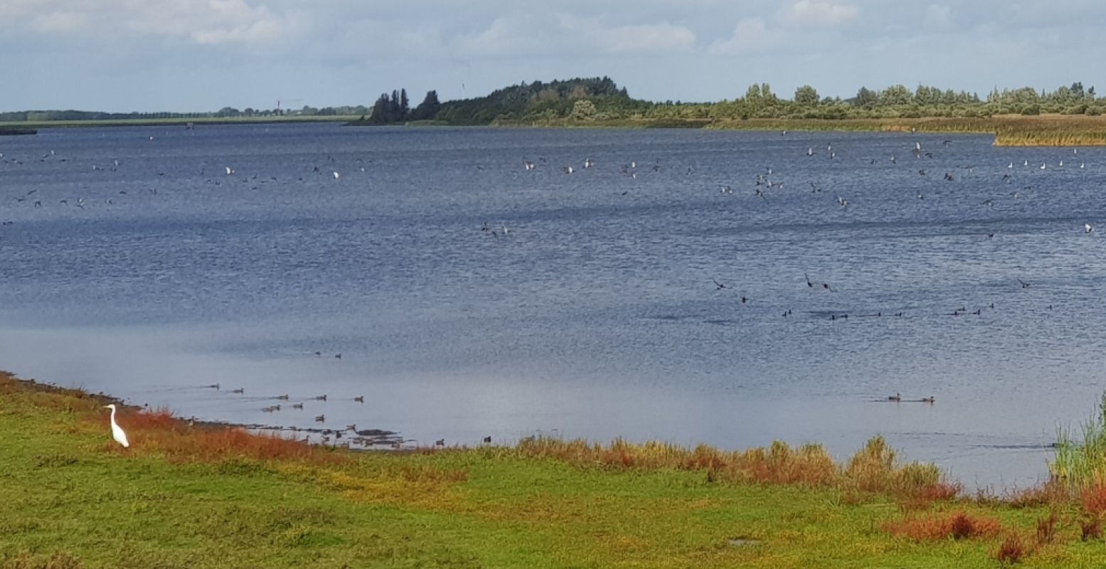 Wind, water en verse vis bij het Lauwersmeer